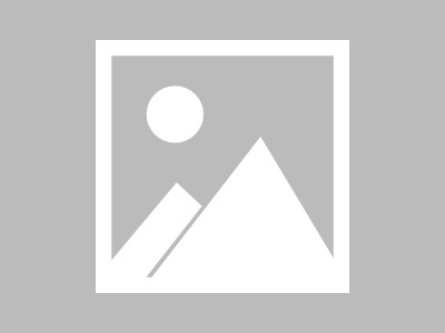 日本藤素的作用到底是什么？深入解析其核心功效与适用场景优质