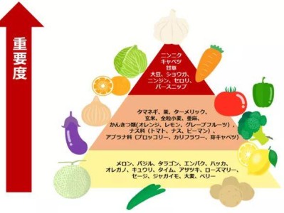 日本腾素能天天吃？剂量、风险与真相优质