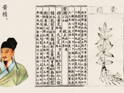 日本腾素真能补肾壮阳？新手必看的功效真相大揭秘优质